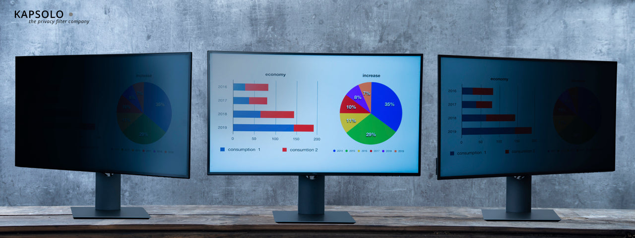 KAPSOLO 2-Way Plug In Privacy Screen / Privacy Filter for 54,6cm (21,5") Wide 16:9 standard 21,5" Dubai UAE